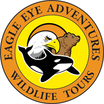 A circular logo for Eagle Eye Adventures Wildlife Tours featuring an eagle, a bear, and an orca inside a yellow circle, with the company name written around the border.